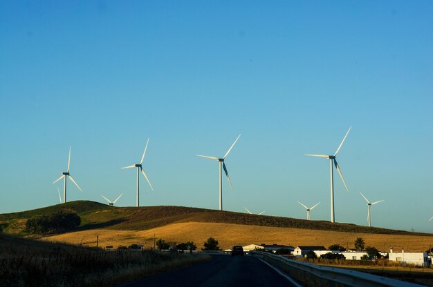 Turbine eoliche sul campo contro un cielo blu limpido