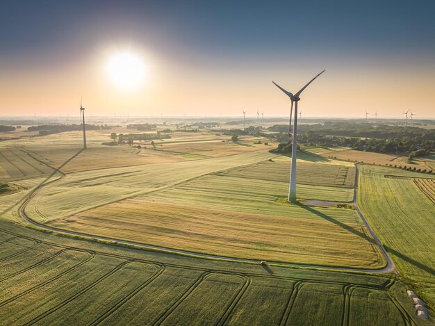 Turbine eoliche sul campo verde in vista aerea di primavera