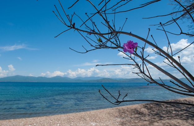 Turismo e viaggi per mare Riposa sul mare