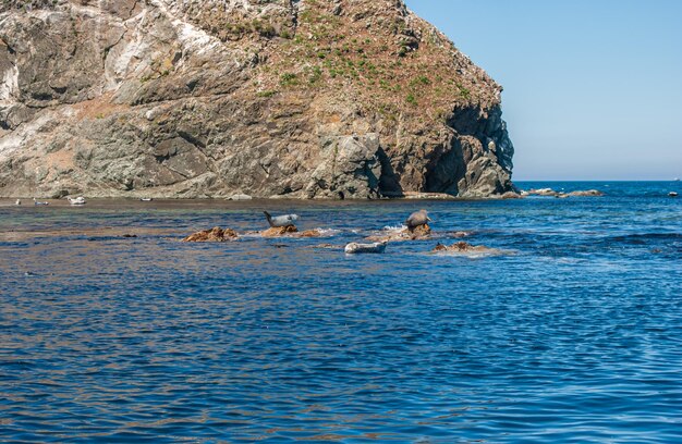 Turismo e viaggi per mare. Riposa sul mare.