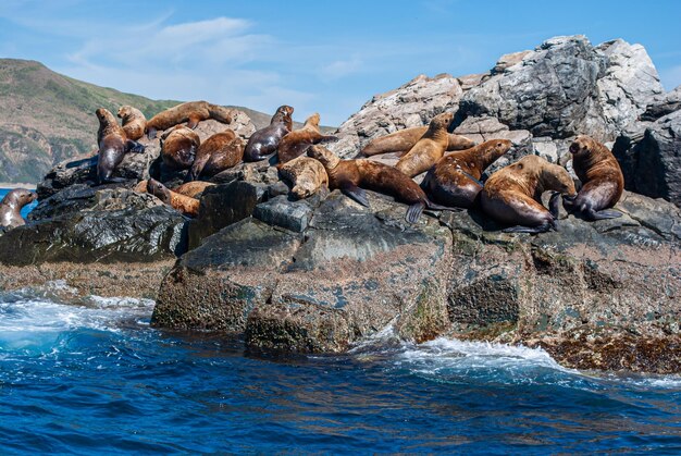 Turismo e viaggi per mare. Riposa sul mare.