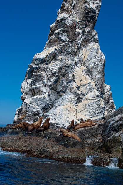 Turismo e viaggi per mare. Riposa sul mare.