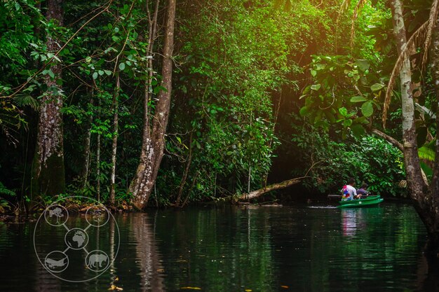 Turismo verde Turismo sostenibile Ecoturismo e concetto di ecosistema e conservazione della natura