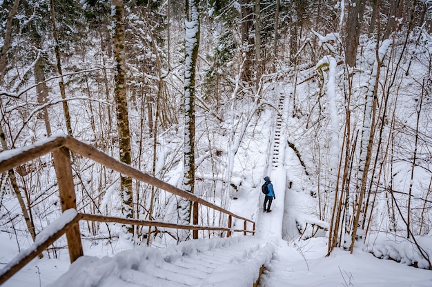 Turista che cammina sul sentiero in legno foresta ricoperta di neve Attività all'aperto Lettonia Baltic