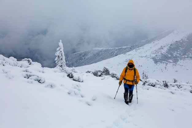 Turista della viandante nell'escursione di montagna nevosa bianca nella foresta