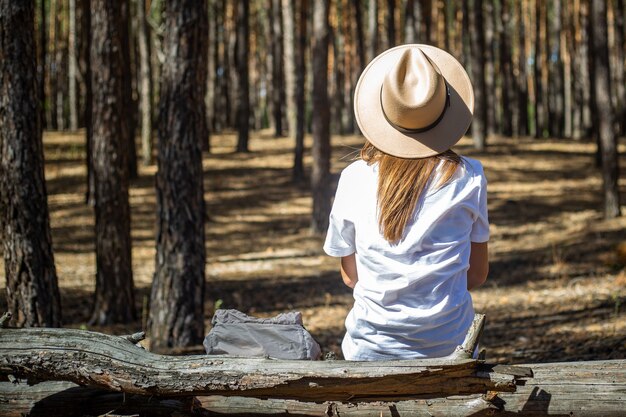 Turista di giovane donna in cappello e t-shirt si siede su un tronco durante una sosta nella foresta.