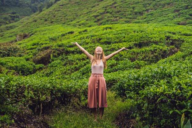 Turista in una piantagione di tè. Foglie di tè fresche e selezionate naturali nella fattoria del tè a Cameron Highlands, Malesia. Concetto di ecoturismo