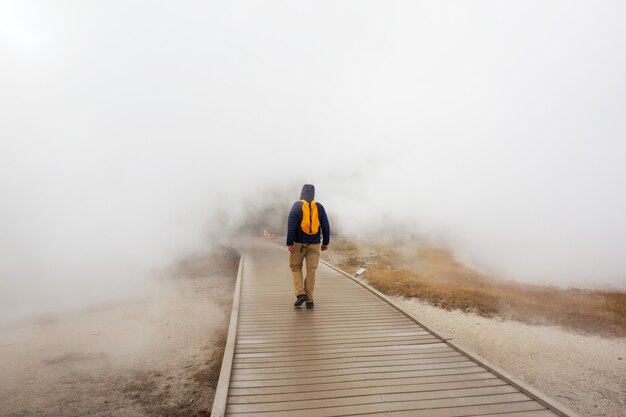 Turista nel Parco Nazionale di Yellowstone, USA