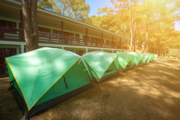 Turista nell&#39;accampamento della foresta fra il prato sulla montagna.