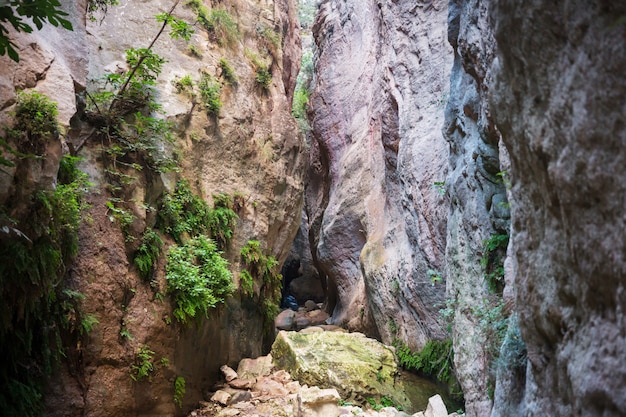 Turista nella gola di Avakas. Distretto di Paphos, Cipro. Famoso piccolo canyon a Sounh Cipro.