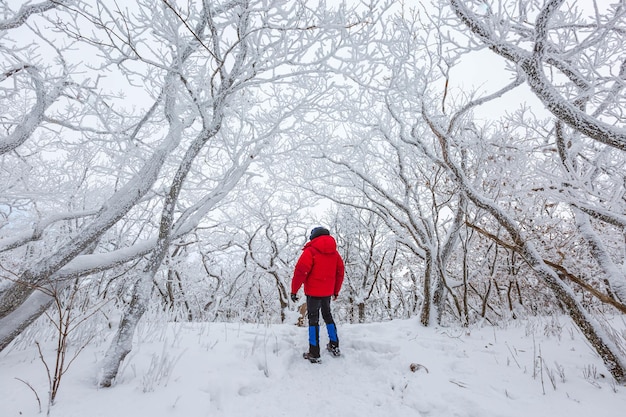 Turisti in cima al monte Deogyusan nel Parco Nazionale di Deogyusan vicino a Muju, in Corea del Sud