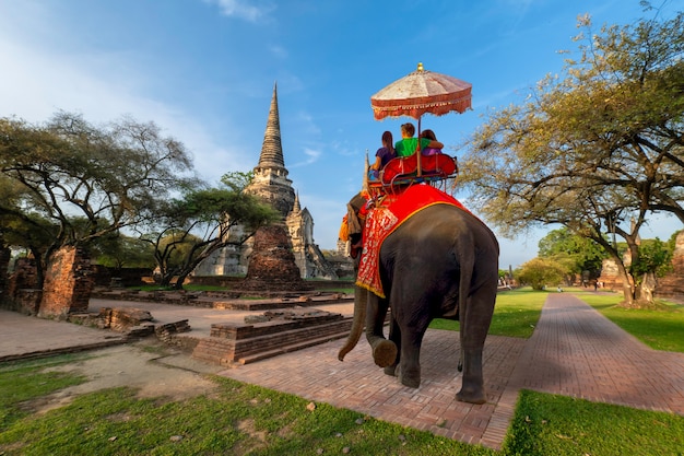 Turisti stranieri Elefante cavalca per visitare Ayutthaya