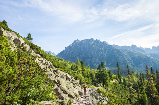 Turisti sul sentiero di montagna in alta montagna Tatra