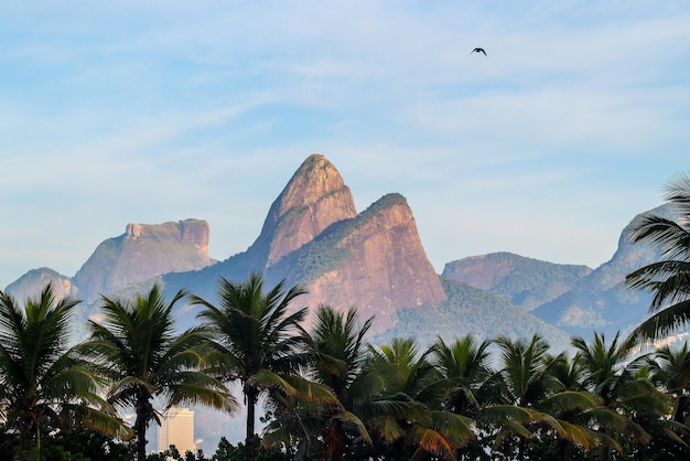 Two Hill Brother a Rio de Janeiro in Brasile