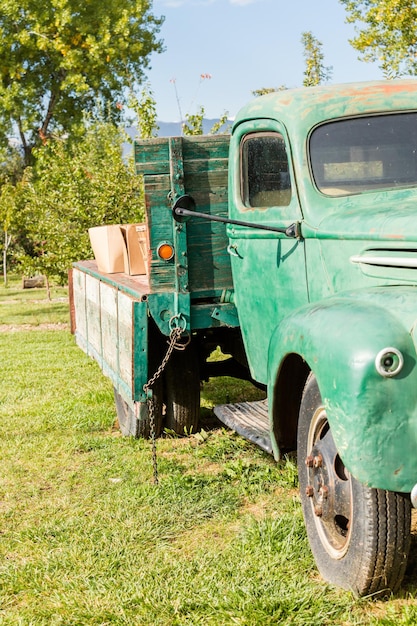 U-pick apple farm in un giorno d'autunno.