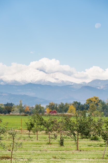 U-pick apple farm in un giorno d'autunno.