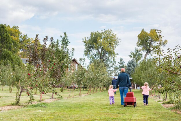 U-pick apple farm in un giorno d'autunno.