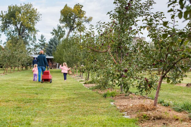 U-pick apple farm in un giorno d'autunno.