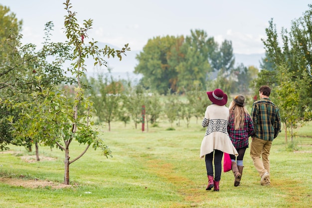 U-pick apple farm in un giorno d'autunno.