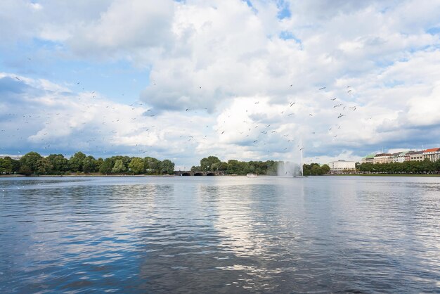 Uccelli sopra Binnenalster nella città di Amburgo in autunno