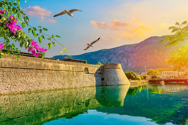 Uccelli sopra il bastione di Kotor al tramonto estivo, Montenegro