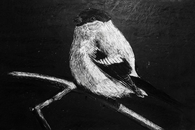 Uccelli sulle spiagge che disegnano a mano con carbone bianco e nero su carta matte testurata