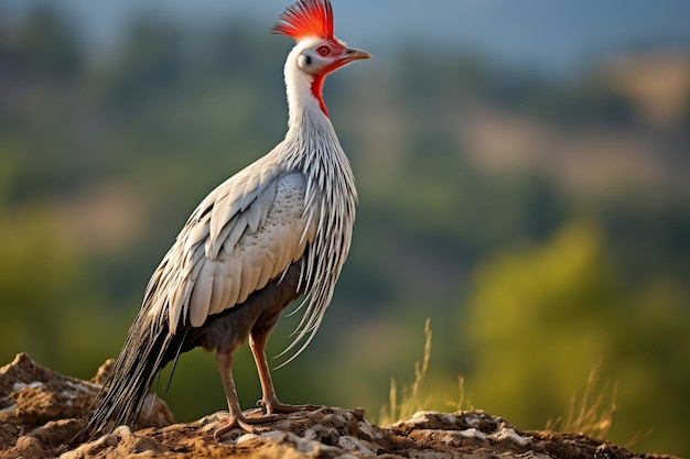 Uccello in cima a una montagna Ai generativa