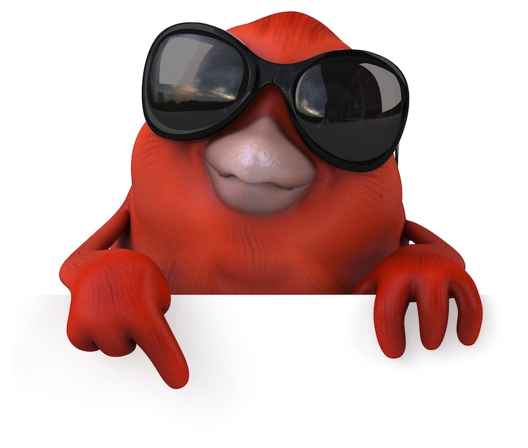 Foto uccello rosso