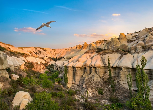 Uccello sopra la Cappadocia