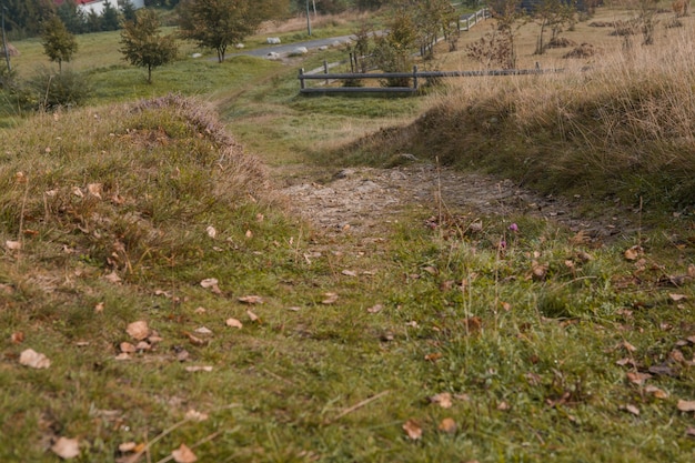 Ucraina Carpazi Skidnitsa. La giornata di sole mattutino è nel paesaggio montano. Carpazi, Europa. Il mondo della bellezza. Grande risoluzione.