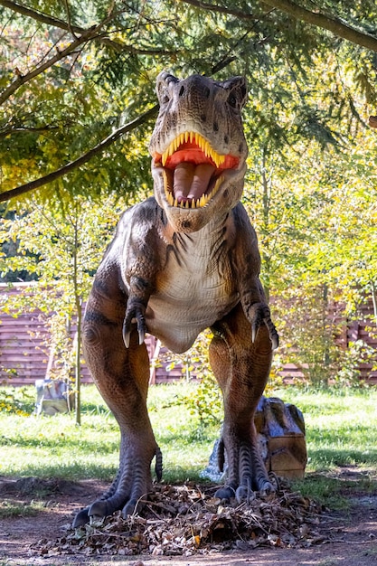 Ucraina, Khmelnitsky, ottobre 2021. Modello di dinosauro nel parco. Tirannosauro gigante a una mostra nel parco in una giornata di sole estivo