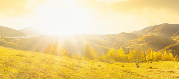 Ucraina L'alba risplende nei Carpazi la nebbia colorata si diffonde sulle valli e sulle pianure della catena montuosa, le praterie dorate sono di una bellezza abbagliante