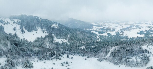 Ucraina le meravigliose montagne dei Carpazi Foresta di pini ghiacciati con neve vista dall'alto con drone vista a volo d'uccello fotografia astratta della foresta di Karkonosze in montagna