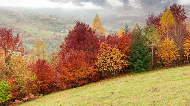 Ucraina le meravigliose montagne dei Carpazi Incredibile paesaggio di montagna con un tramonto colorato e vivido sullo sfondo naturale del viaggio all'aperto del cielo nuvoloso Mondo di bellezza