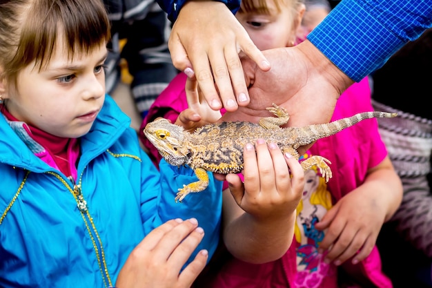 Ucraina. Regione di Khmelnytsky. Maggio 2018. I bambini guardano con curiosità la lucertola. I bambini toccano la lucertola con le loro mani_