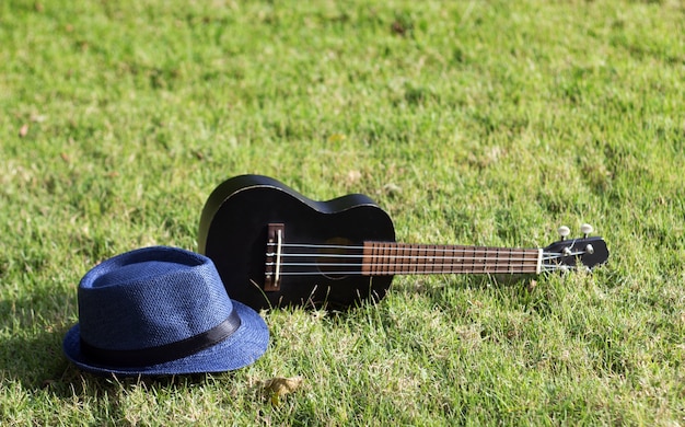 ukulele con cappello sull&#39;erba verde