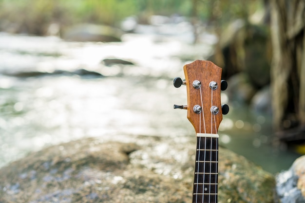 Ukulele sulla roccia vicino alla cascata nella foresta