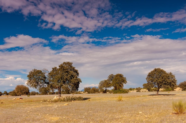 Ultime steppe nei campi di granada