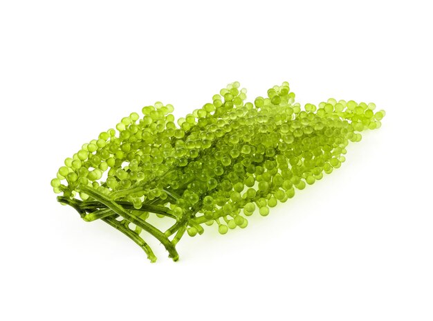 Umi-budou, alga dell'uva o caviale verde isolato su fondo bianco