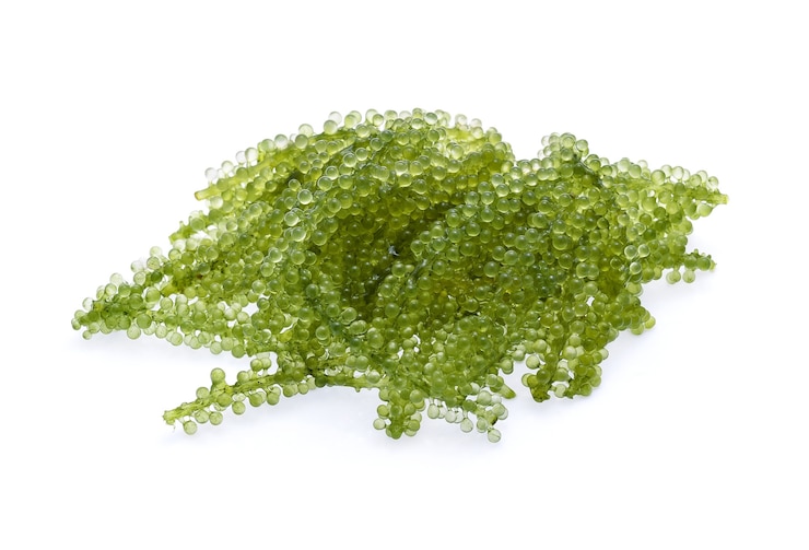 Foto umi-budou, alghe uva o caviale verde isolato su sfondo bianco