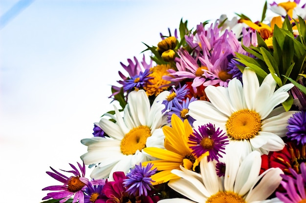 Un'abbondanza di diversi bellissimi fiori che sbocciano in un bouquet estivo.