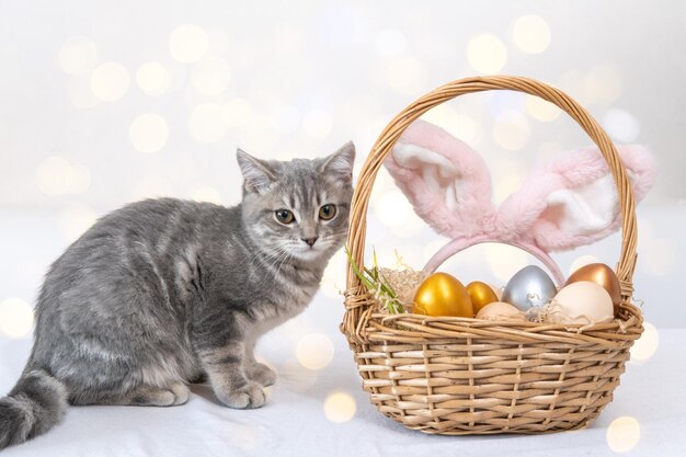 Un adorabile gattino è seduto accanto a un cesto con uova di Pasqua colorate e orecchie di coniglio rosa