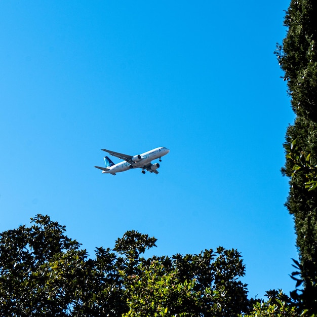 Un aereo sta sorvolando degli alberi e ci sta volando sopra.