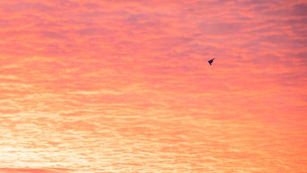 Un aereo vola nel cielo sopra un tramonto rosa.