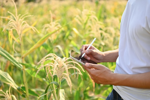 Un agricoltore asiatico o un proprietario di una fattoria che utilizza il suo tablet digitale per il suo sistema di fattoria intelligente