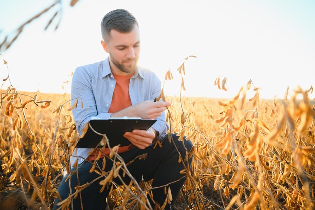 Un agricoltore ispeziona un campo di semi di soia Il concetto del raccolto