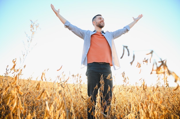 Un agricoltore ispeziona un campo di semi di soia Il concetto del raccolto