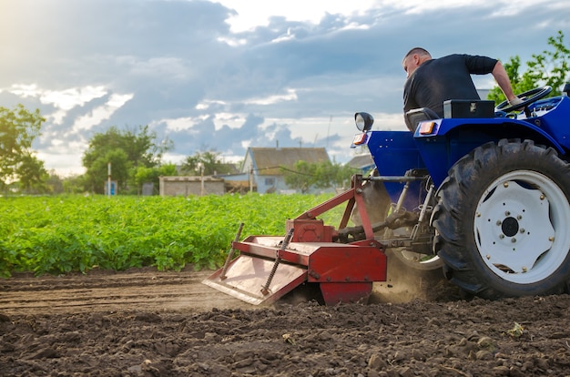 Un agricoltore sta coltivando un campo prima di ripiantare le piantine Fresatura del terreno frantumazione allentamento del terreno