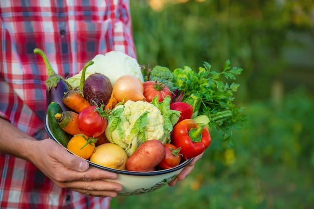 Un agricoltore tiene in mano un raccolto di verdure