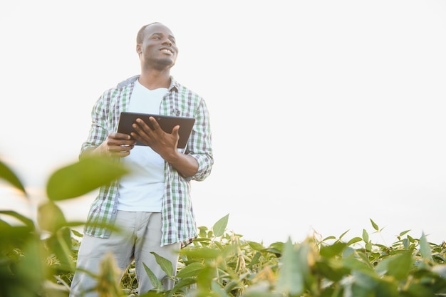 Un agronomo africano in un campo di soia esamina il raccolto